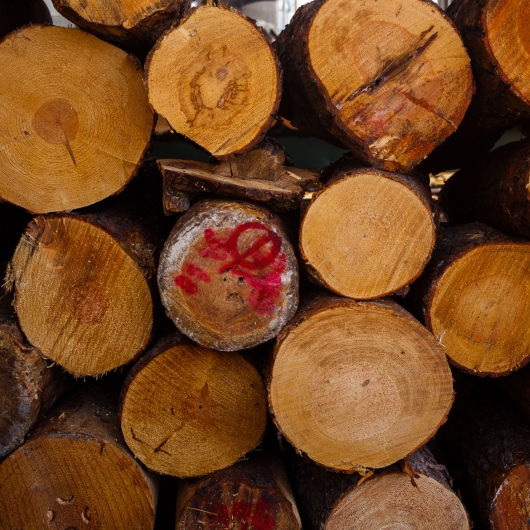 Wood